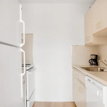 Allston 2br W Wd Nr Bu Packards Corner Bos-595 Apartment