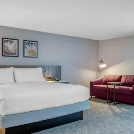 Hilton Garden Logan Airport Hotel 3*