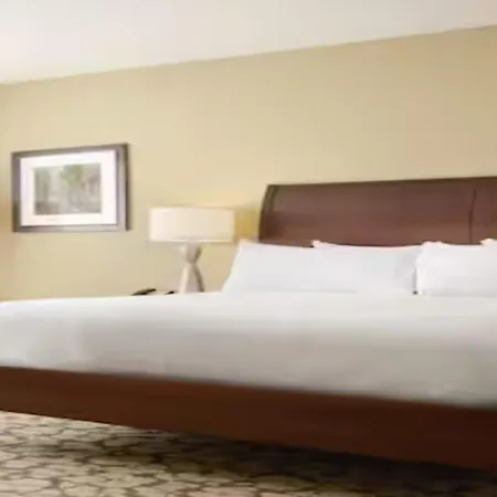 Hilton Garden Logan Airport Hotel