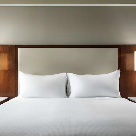 Hilton Logan Airport Boston