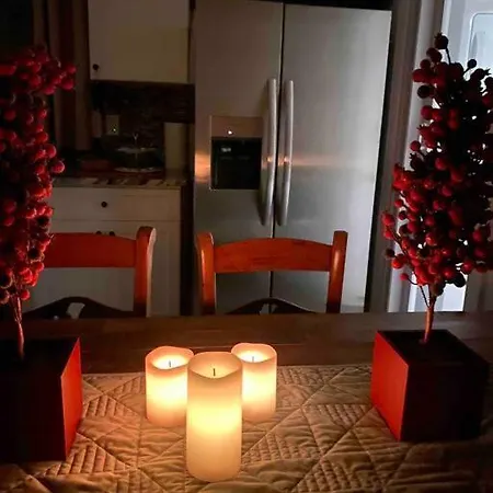 Unique & Peaceful Home, Ideal For 2026 World Cup Visitor, Free Parking Apartment