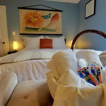 Unique & Peaceful Home, Ideal For 2026 World Cup Visitor, Free Parking Apartment