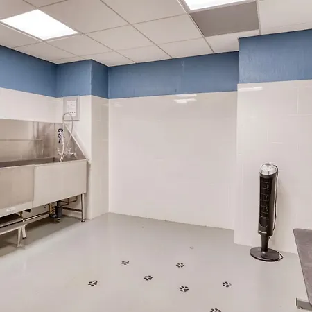 Back Bay 1br W Gym Wd Close To Garden Bos-942 * Boston