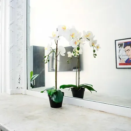 Apartment Stylish In Historic - Unit #209