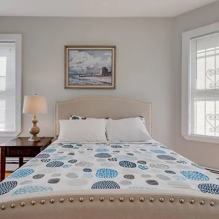 New! Near Mbta, 3mi To Fenway! Boston