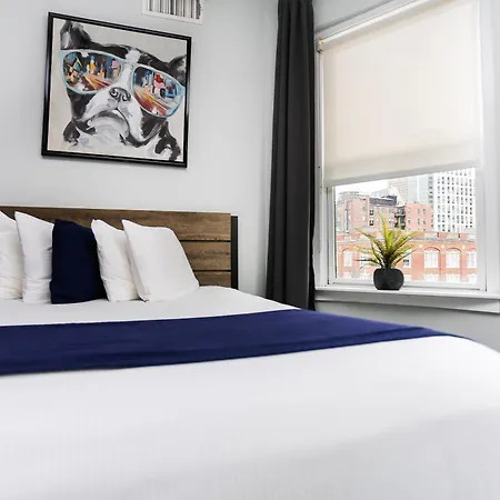 Charming On Boston's Iconic Newbury St. #8 Apartment *