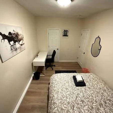 Furnished 3-bed 1-bath Private Apt In South End