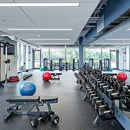 Back Bay 1br W Gym Nr Copley Sq Bos-742 Apartment *
