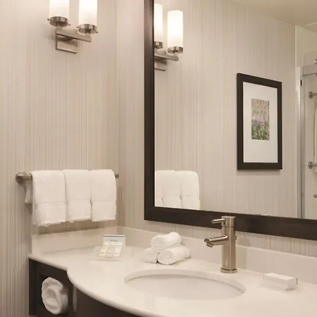 Hilton Garden Logan Airport Hotel Boston