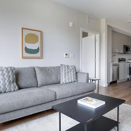 Apartment Brighton 2br W Wd Gym Nr Line Bos-894 Boston