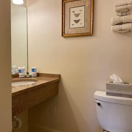 Oasis Guest house