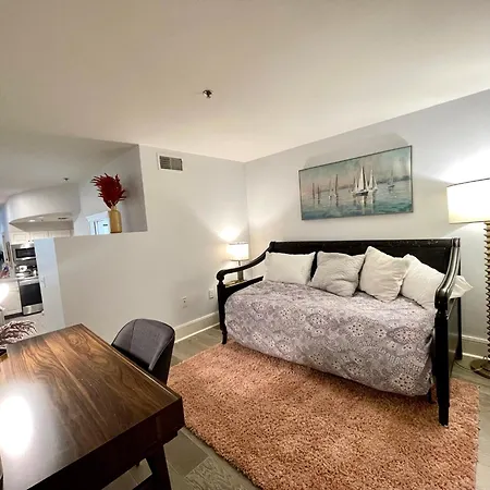 Luxury 1bed Loft, 2 Baths, Air, South End Apartment Boston