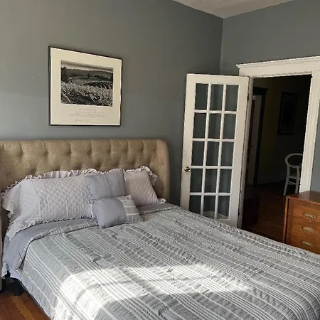 Cozy 1-bed Private Downtown Dorchester, Ma! Apartment *