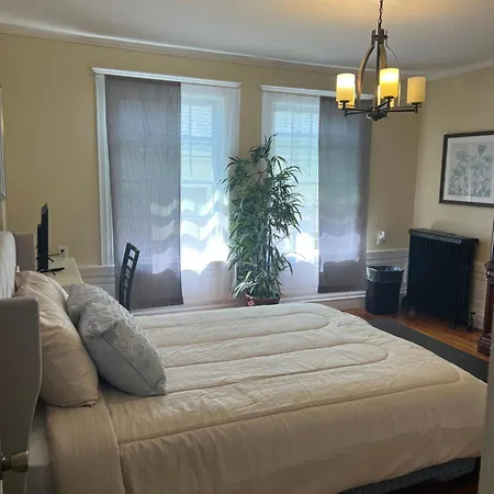 Cozy 1-bed Private Downtown Dorchester, Ma! Apartment