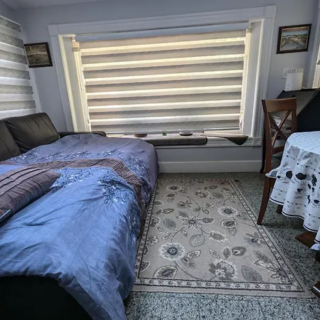 Large W/ Private Bath,great Location Homestay
