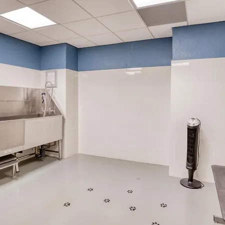 Apartment Back Bay 1br W Gym Wd Nr Shopping Bos-925
