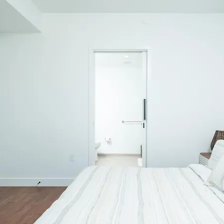 Back-bay 2br Penthouse W Roof And Gym