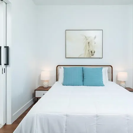 Back-bay Penthouse Downtown & Parking & Gym Apartment Boston