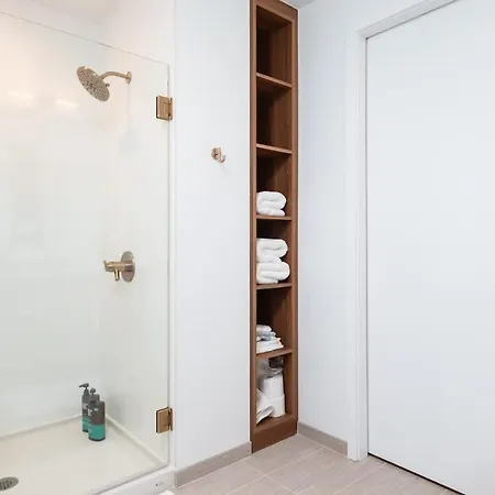 Apartment Back-bay Upscale Penthouse W Roof-top Boston