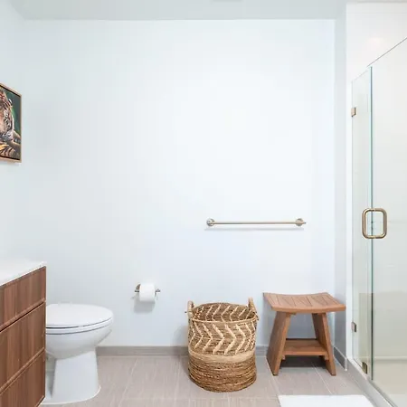 Back-bay Upscale Penthouse W Roof-top Boston