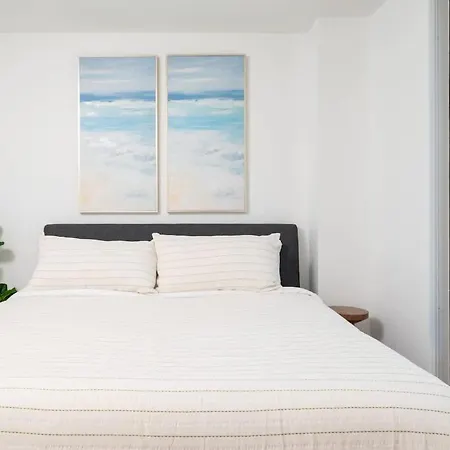 Back-bay Upscale Penthouse W Roof-top