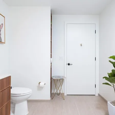 Back-bay Upscale Penthouse W Roof-top Apartment Boston