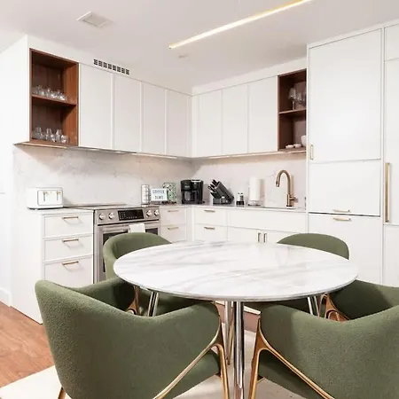 Back-bay Upscale Penthouse W Roof-top
