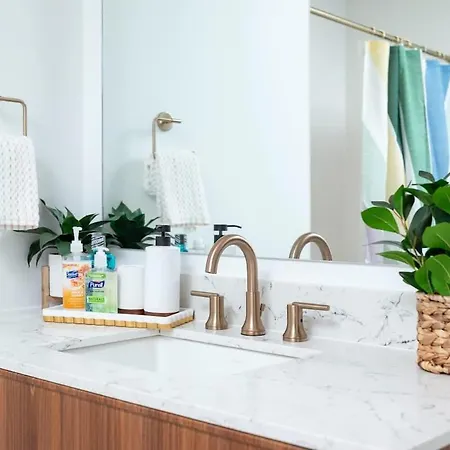 Back-bay Upscale Penthouse W Roof-top Apartment