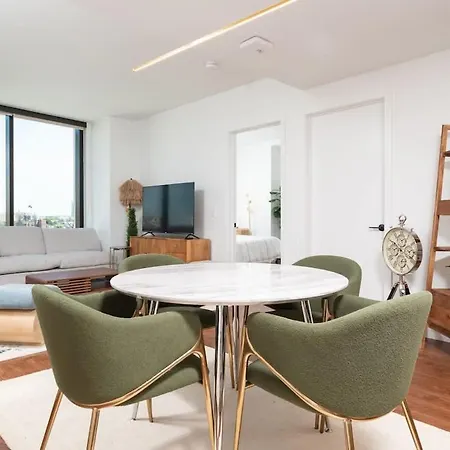 Back-bay Upscale Penthouse W Roof-top Apartment