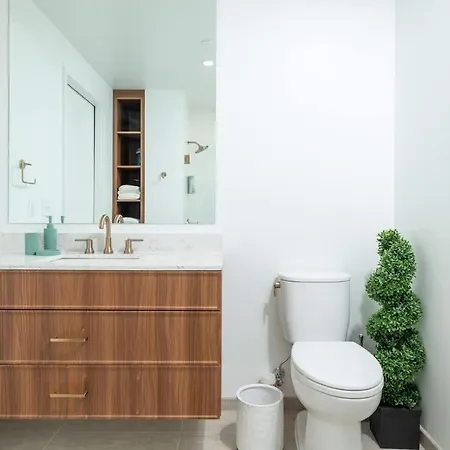 Back-bay 2br Penthouse W Roof And Gym Apartment