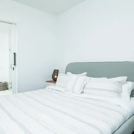 Back-bay 2br Penthouse W Roof And Gym * Boston