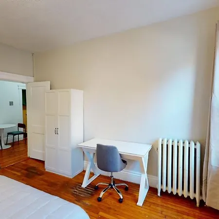 Modest 1337 * Boston