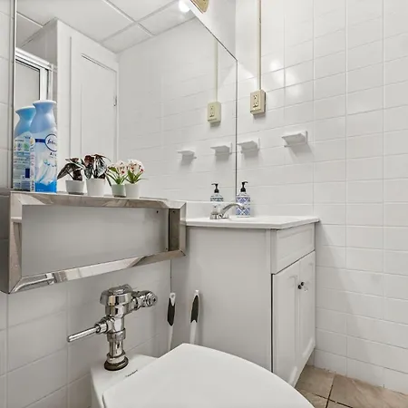 Furnished In Downtown Apartment *