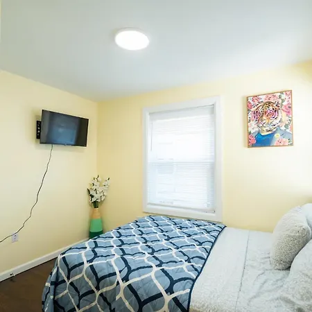 30-3 - 3br - Cozy Near Franklin Park Zoo Apartment Boston
