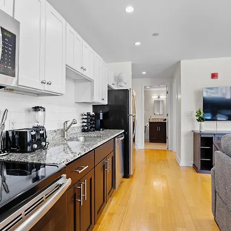 Furnished In Downtown