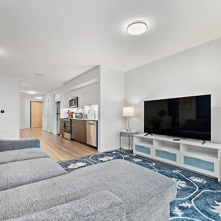 Furnished Luxury Next To Harvard Stadium * Boston