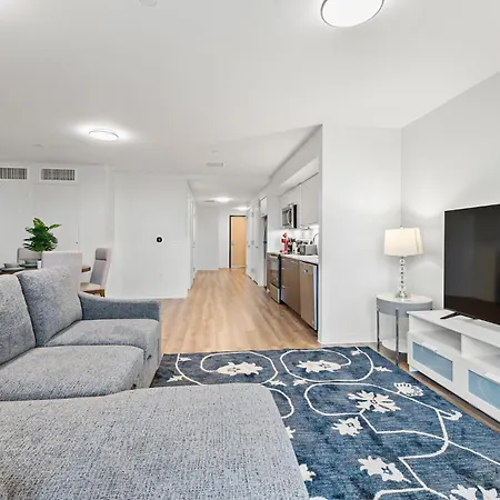 Furnished Luxury Next To Harvard Stadium Apartment Boston
