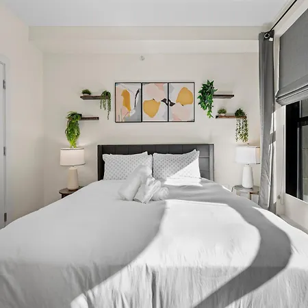 Furnished In Downtown