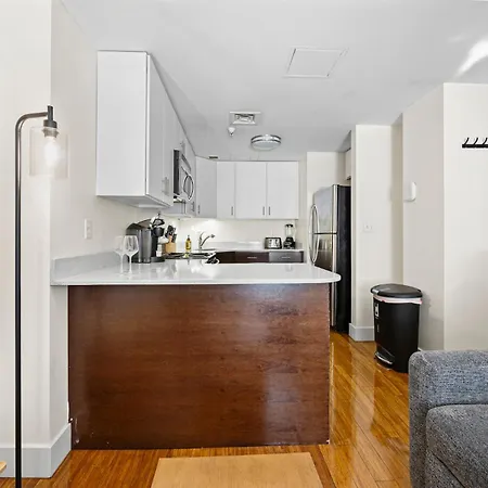 Furnished In Downtown * Boston