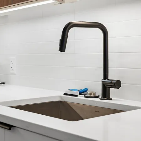 Luxury Furnished Near Logan Airport Apartment Boston