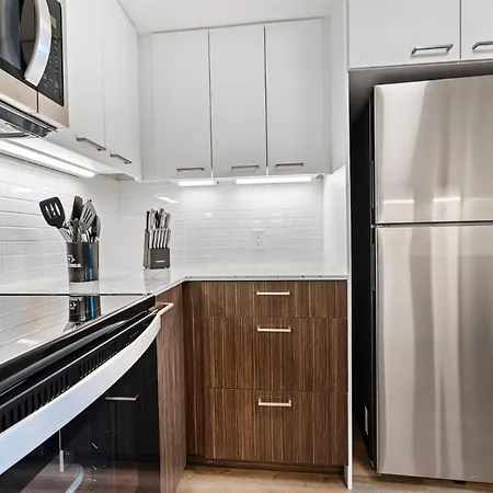 Furnished Luxury Next To Harvard Stadium Apartment Boston