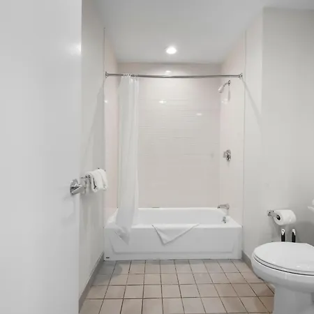 Apartment Beautiful 2br In Southend Boston