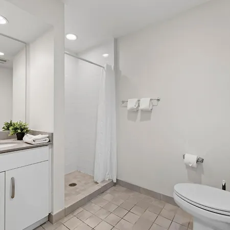 Beautiful 2br In Southend Apartment