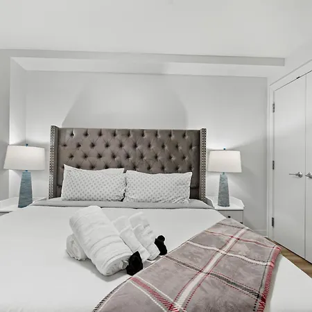 Furnished Luxury Next To Harvard Stadium Apartment Boston