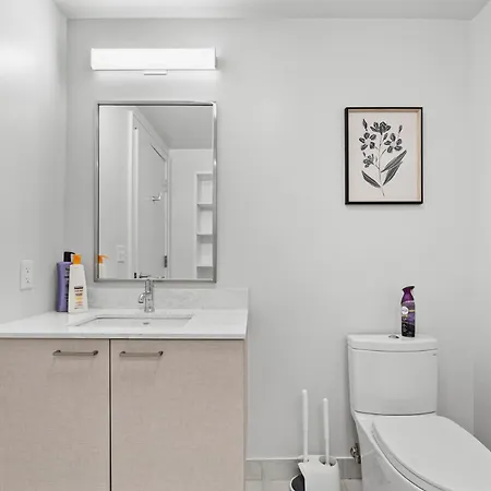 Furnished Luxury Next To Harvard Stadium Boston