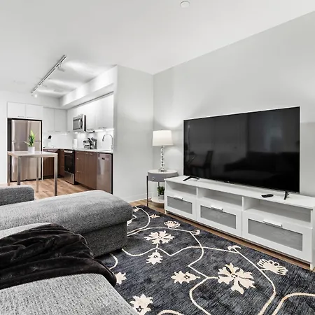 Apartment Furnished Luxury Next To Harvard Stadium Boston