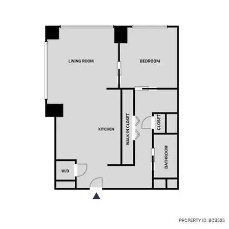 Downtown 1br W Luxury Amenities Rooftop Views Bos-505 Apartment *