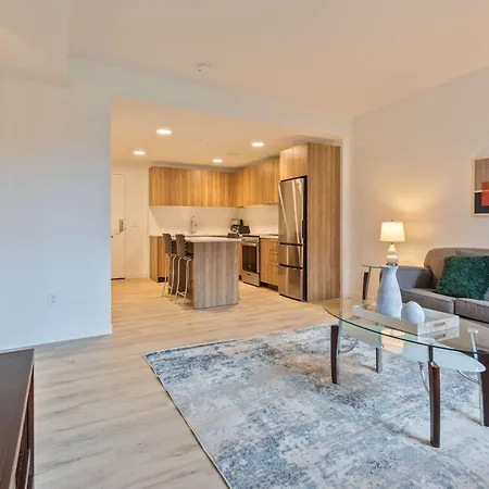 Luxury With Kitchen & Gym Apartment Boston