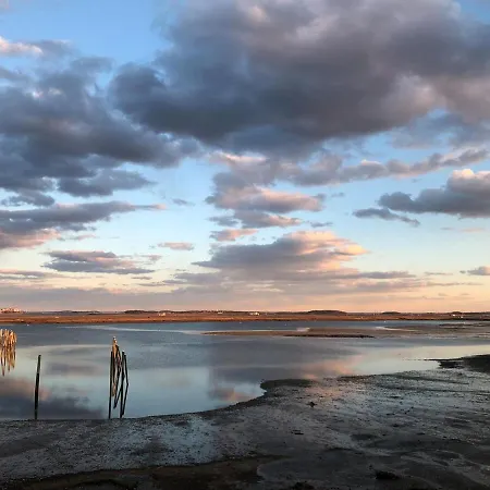 Waterfront Escape - Close To Airport & Downtown