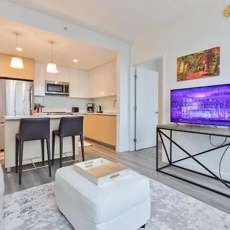 Luxury Downtown Apartment